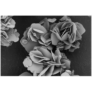 千里明 碳酸钙胶囊 0.25克×90粒 辽宁千里明药业(集团)有限公司