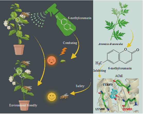 修正 羟甲香豆素片