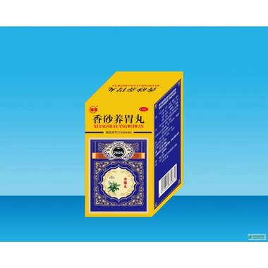 立效 香砂养胃丸 9克×20袋 山西华康药业股份有限公司