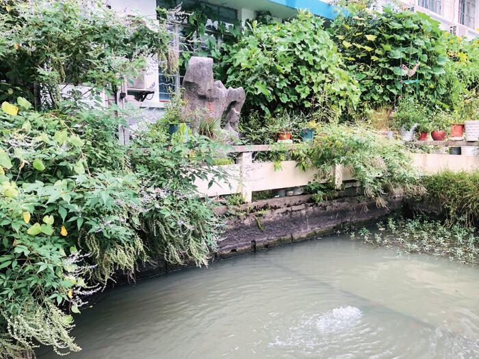 华西 十味玉泉片