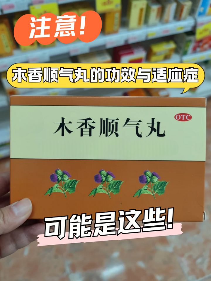 世一堂 木香顺气丸