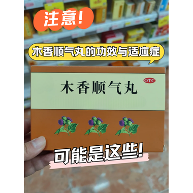 世一堂 木香顺气丸