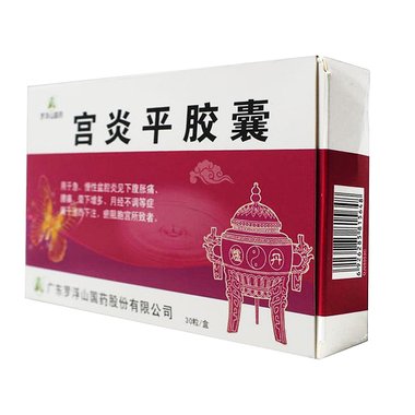 罗浮山 宫炎平滴丸