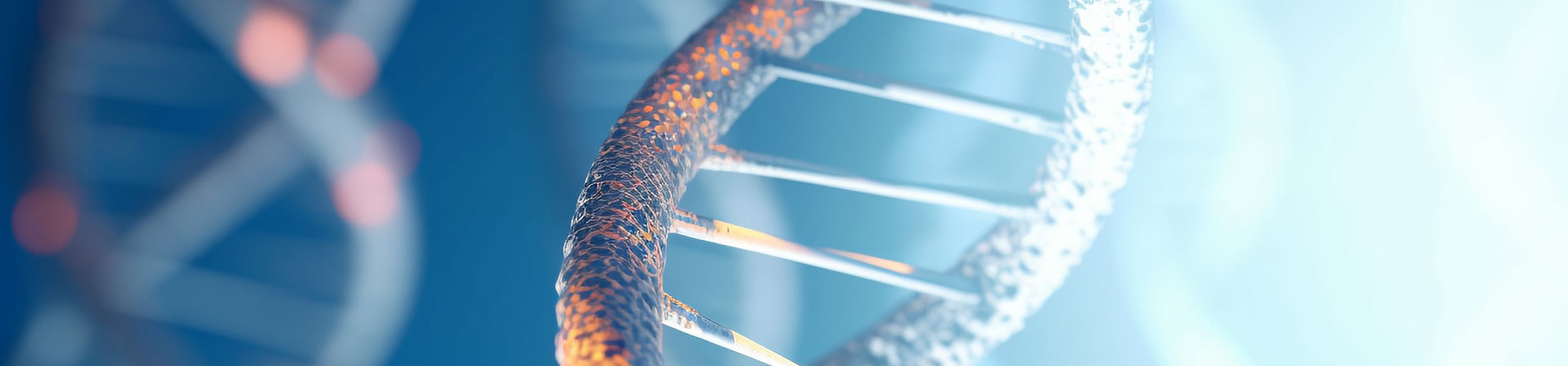 西安迪赛生物 复方丁香罗勒口服混悬液