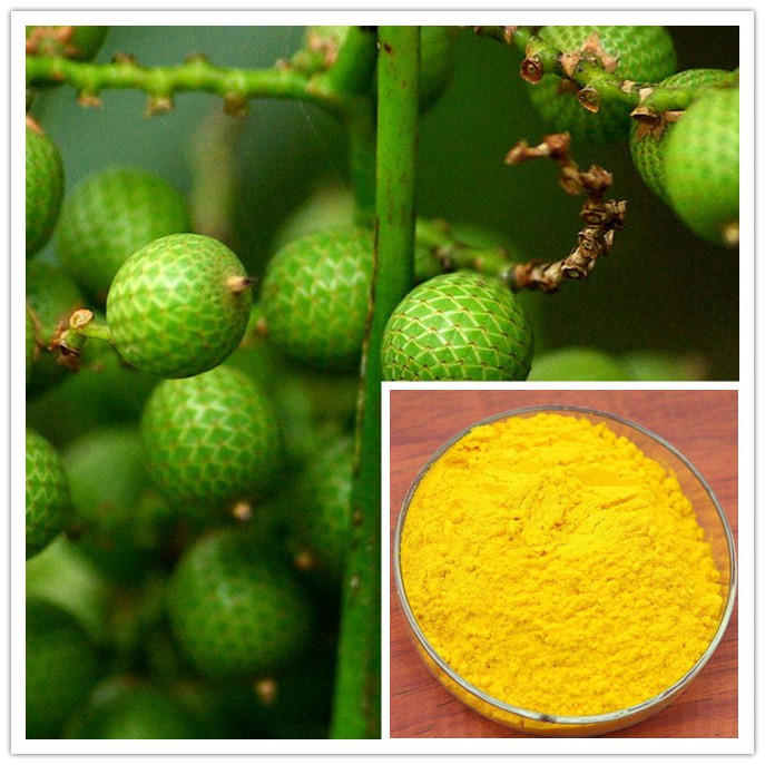 方盛 黄藤素分散片