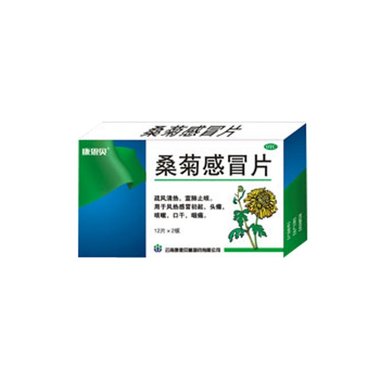 鲁抗大禹 桑菊感冒颗粒 11克×10袋 山东鲁抗大禹药业有限公司