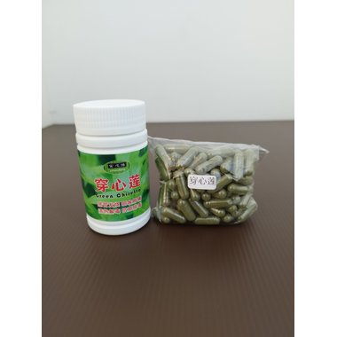 彤罗 穿心莲软胶囊 0.55克×20粒 浙江维康药业有限公司