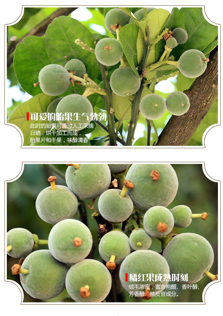 昆明中药 橘红丸