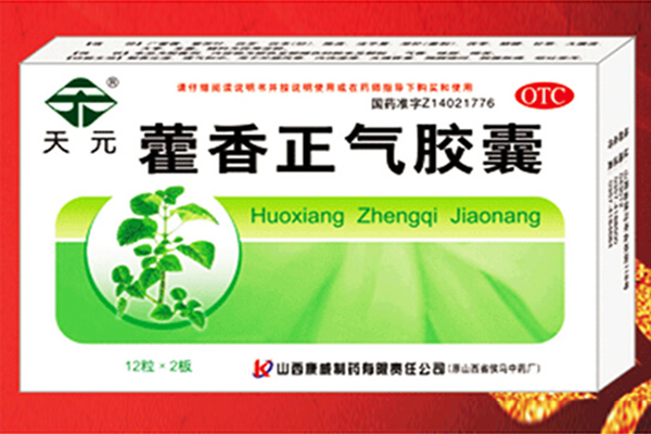 远健 藿香正气胶囊