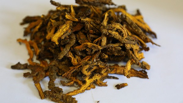 孔圣 清胃黄连丸