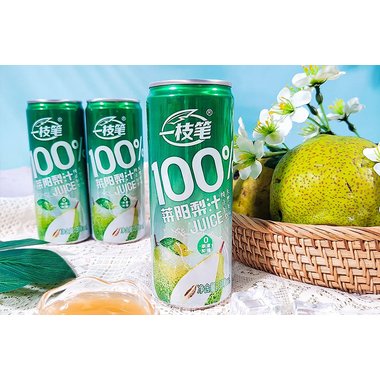 梨城 莱阳梨止咳颗粒 8克×12袋 山东省莱阳生物化学制药厂