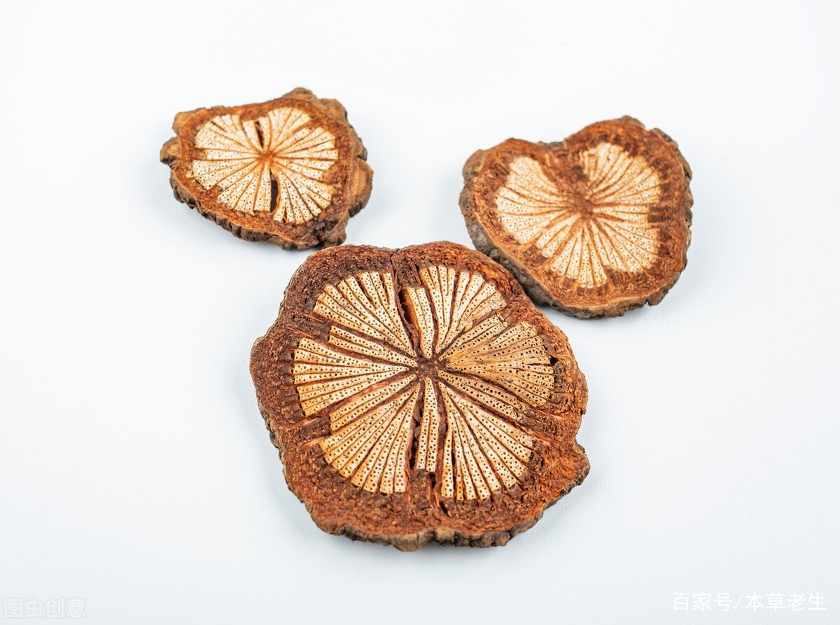 修正堂 鸡血藤片