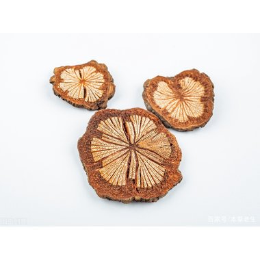 修正堂 鸡血藤片 36片 洛阳天生药业有限责任公司