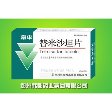 神兴 替米沙坦胶囊
