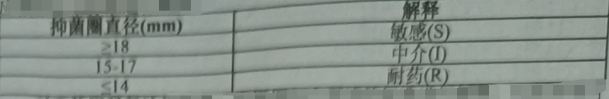 力宏 头孢丙烯颗粒