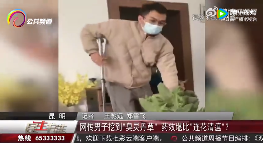 盘龙云海 灵丹草颗粒