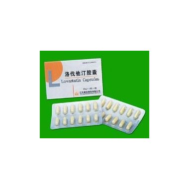 舒齐 洛伐他汀胶囊