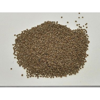 凯达 沙苑子胶囊 12粒 河北医科大学制药厂