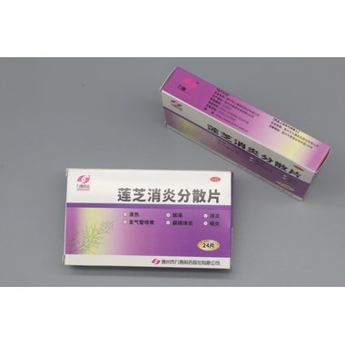 伊顺 莲芝消炎滴丸