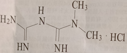 展思门 盐酸二甲双胍肠溶片