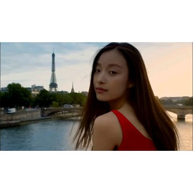 胆维他片 茴三硫片