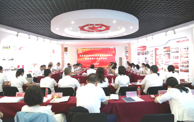 九芝堂 补血生乳颗粒