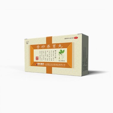 九芝堂 香砂养胃丸