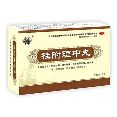 嘉应 桂附理中丸 9克×10片 广东嘉应制药股份有限公司