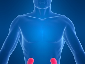 信合援生 马来酸曲美布汀缓释片