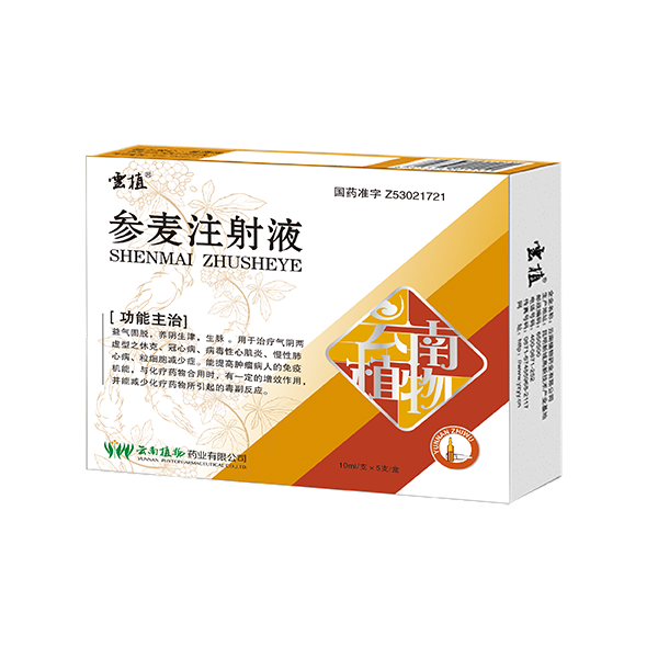注射剂 参麦注射液
