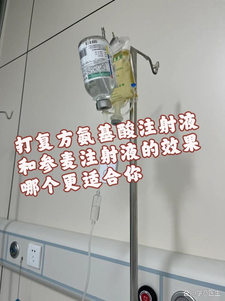 注射剂 参麦注射液