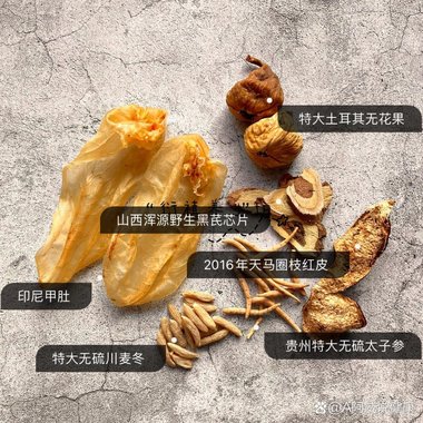 注射剂 参麦注射液