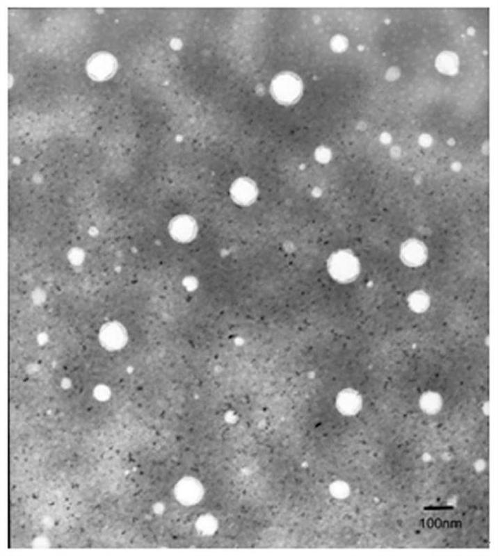 注射剂 榄香烯注射液