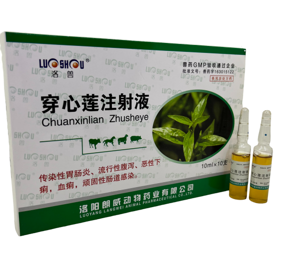 注射剂 穿心莲注射液