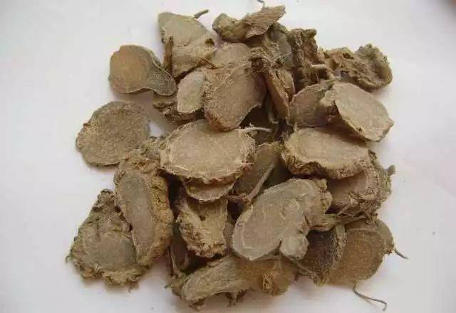 注射剂 莪术油注射液