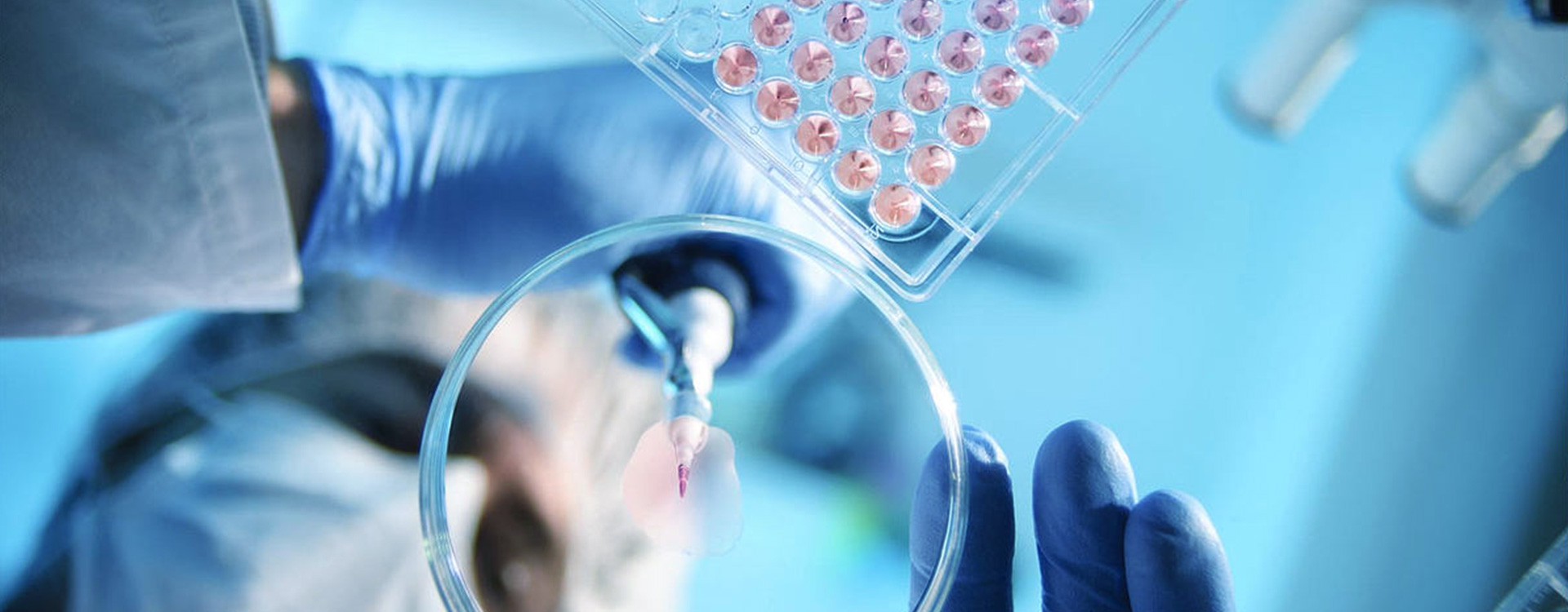 哈三联 [注] 羟喜树碱注射液