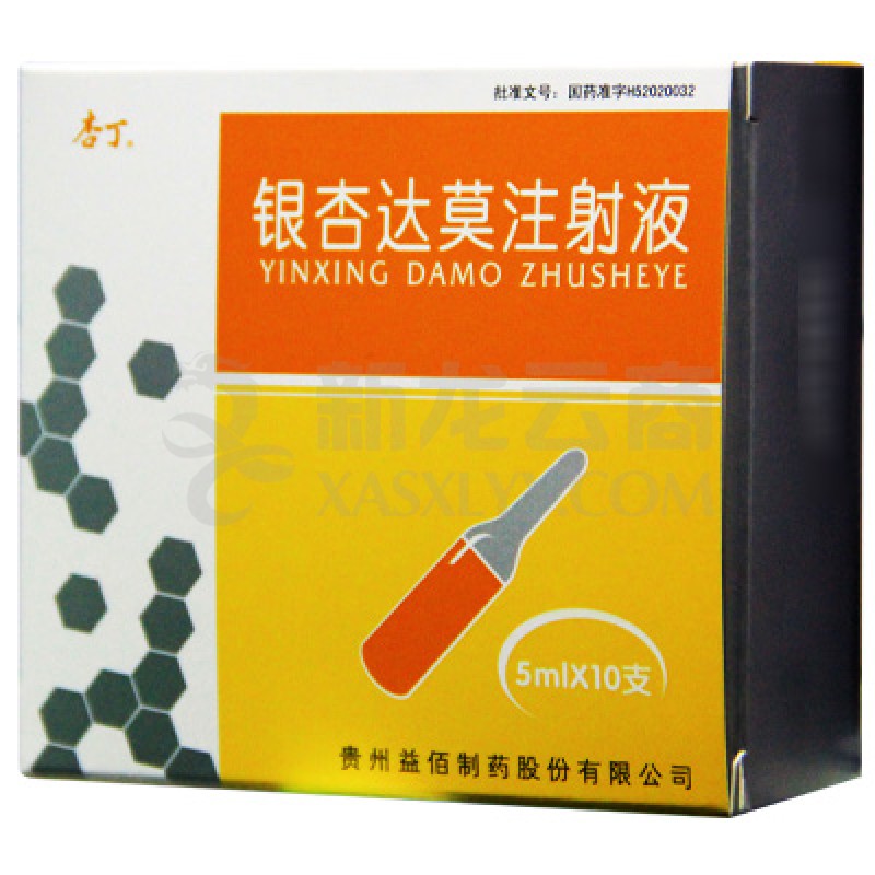 注射剂 银杏达莫注射液