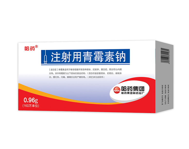 注射剂 注射用青霉素钠