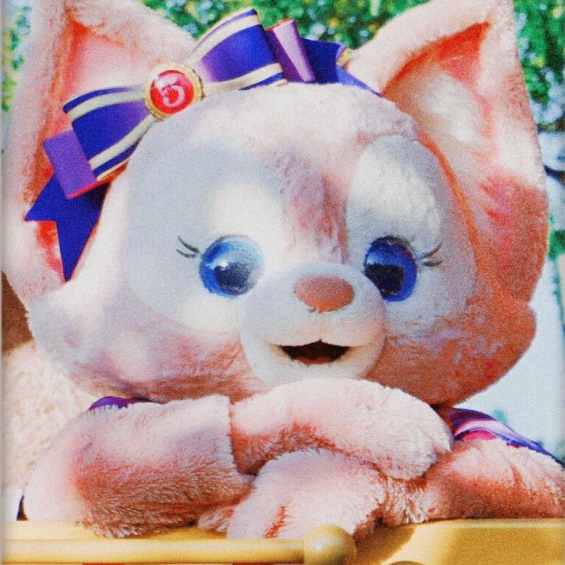 注射剂 间苯三酚注射液