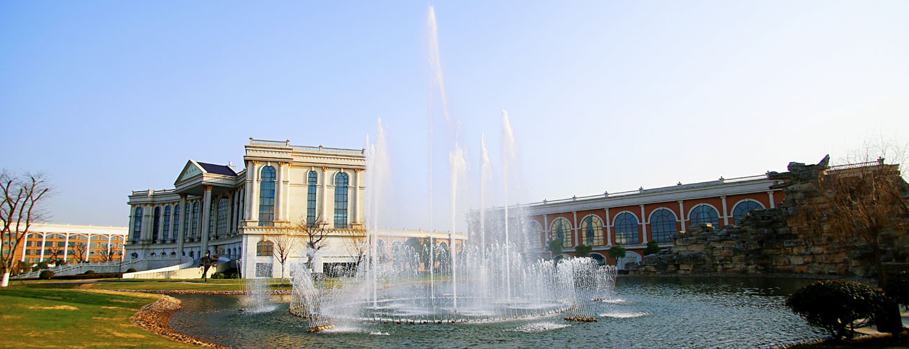 丰与力 [注] 注射用磷酸川芎嗪