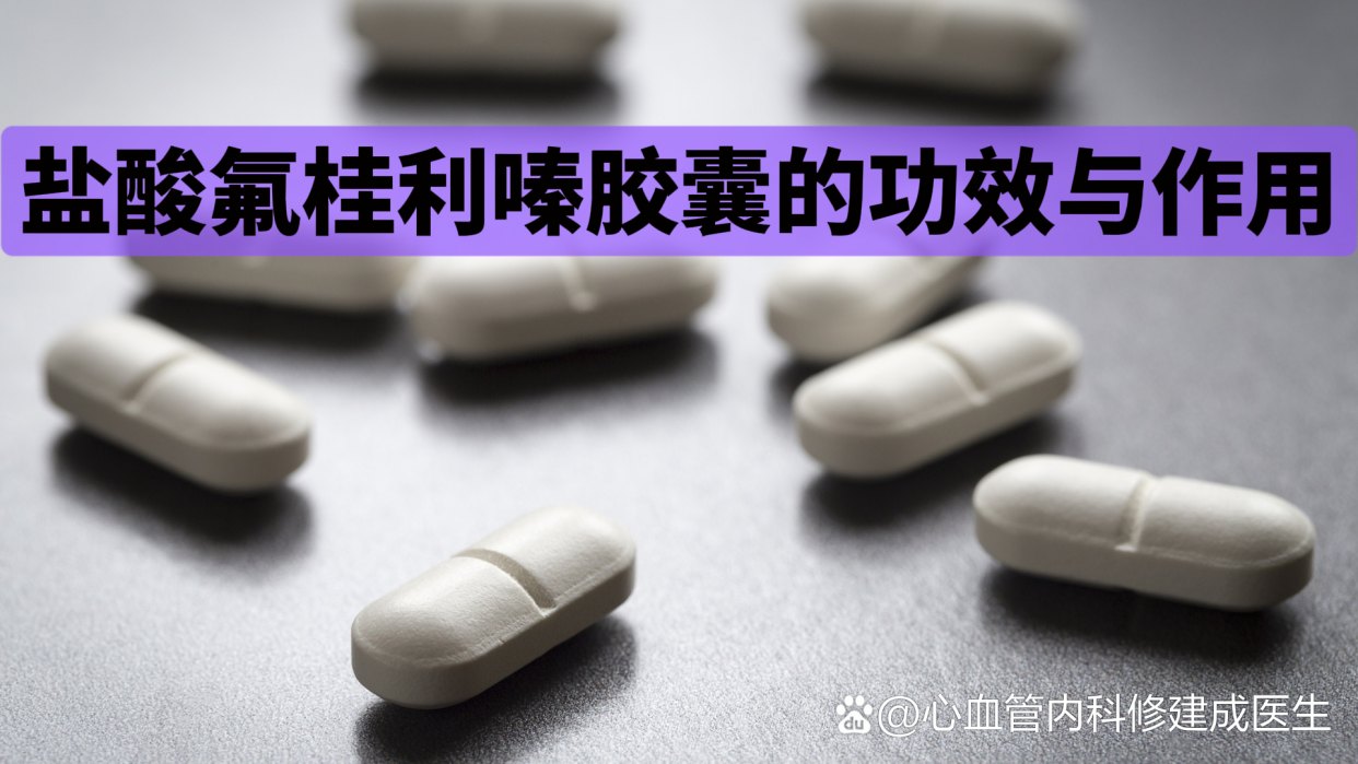 奥力保克 盐酸氟桂利嗪胶囊