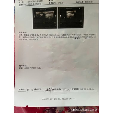 江西泽众 睾丸片