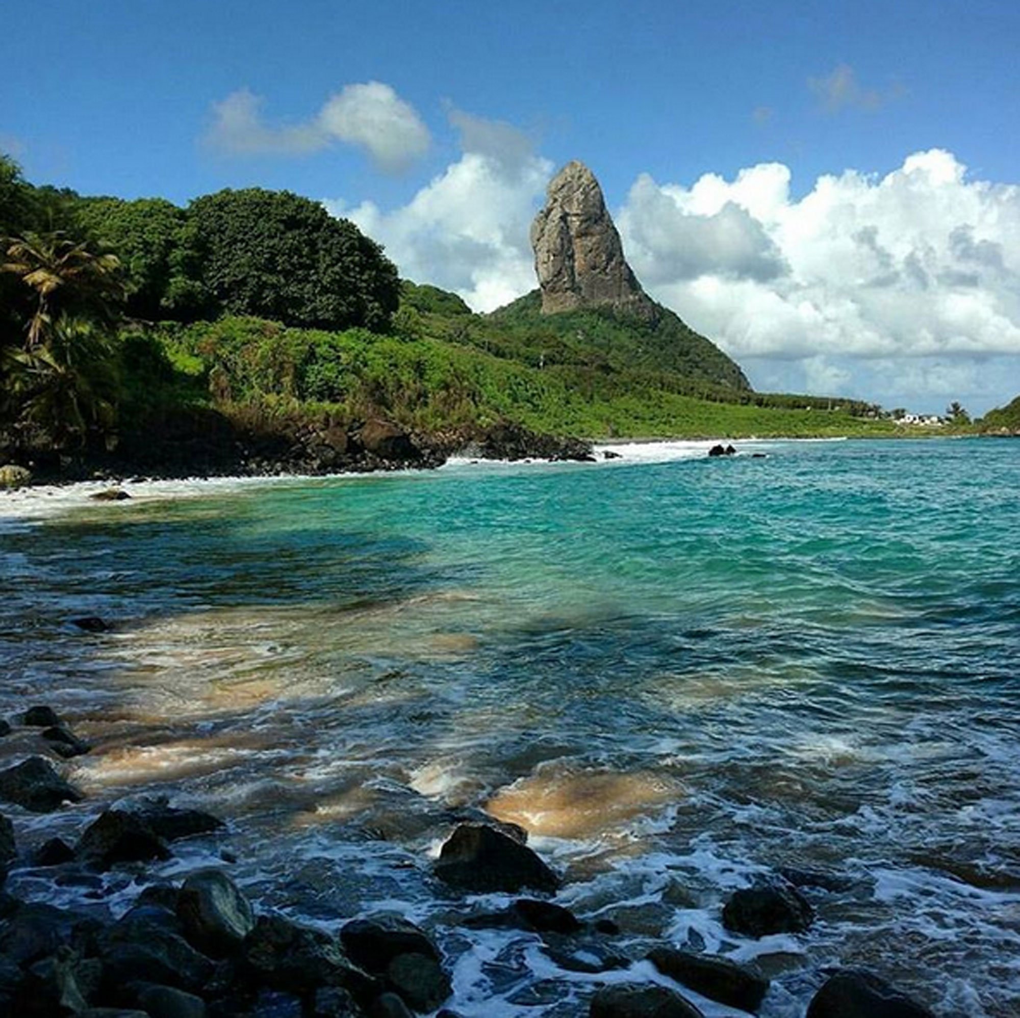 德瓦鲁单抗（durvalumab） 德瓦鲁单抗（durvalumab）