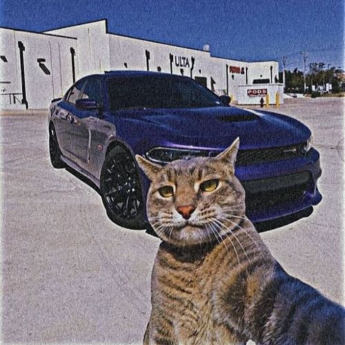 阿贝西利Abemaciclib 阿贝西利Abemaciclib