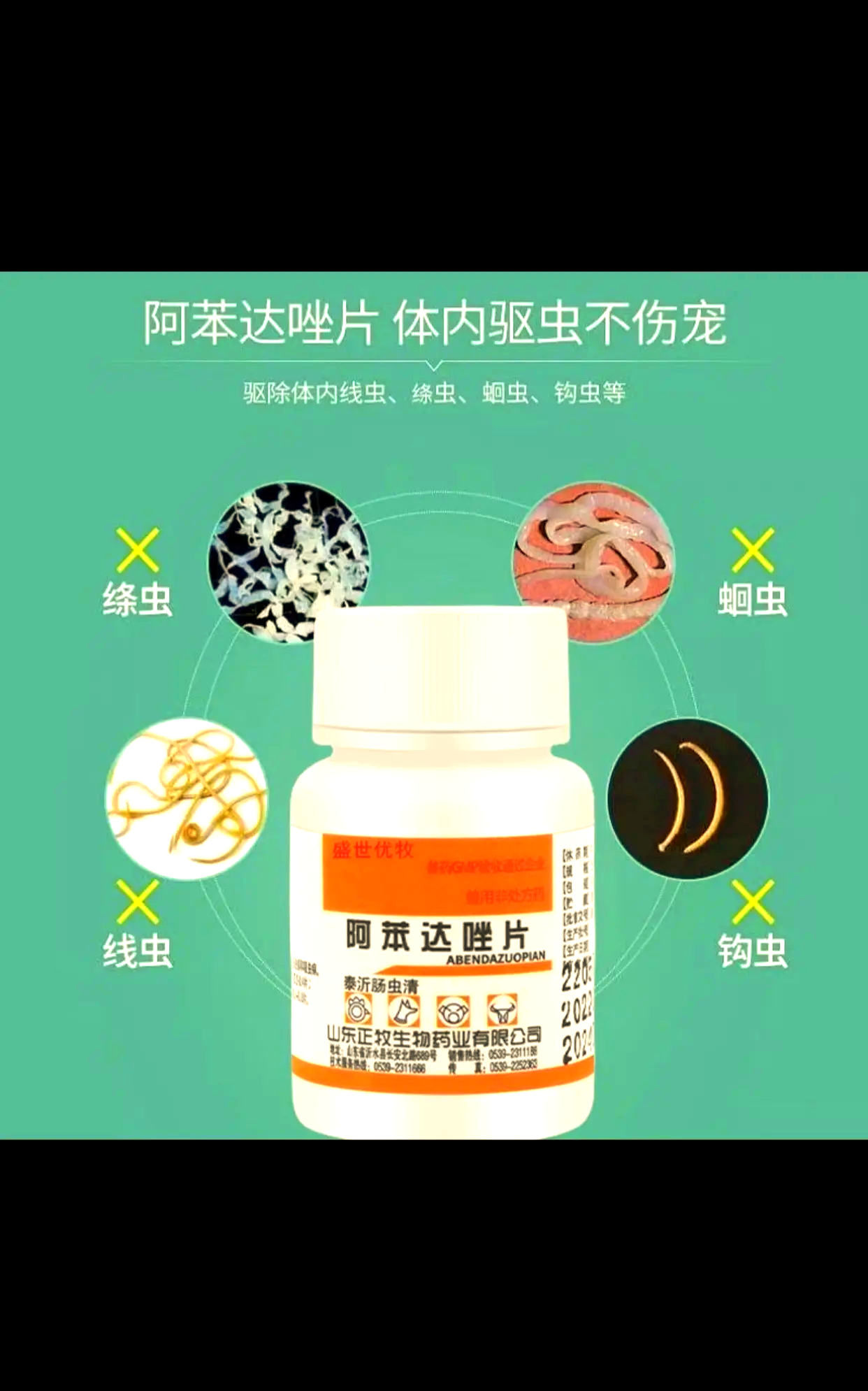 华意 阿苯达唑片