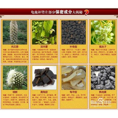 心宝 龟鹿补肾片  0.43g*36片 广东心宝药业科技有限公司