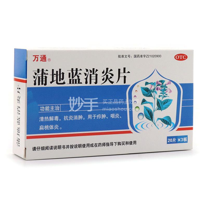 遂成药业 蒲地蓝消炎片