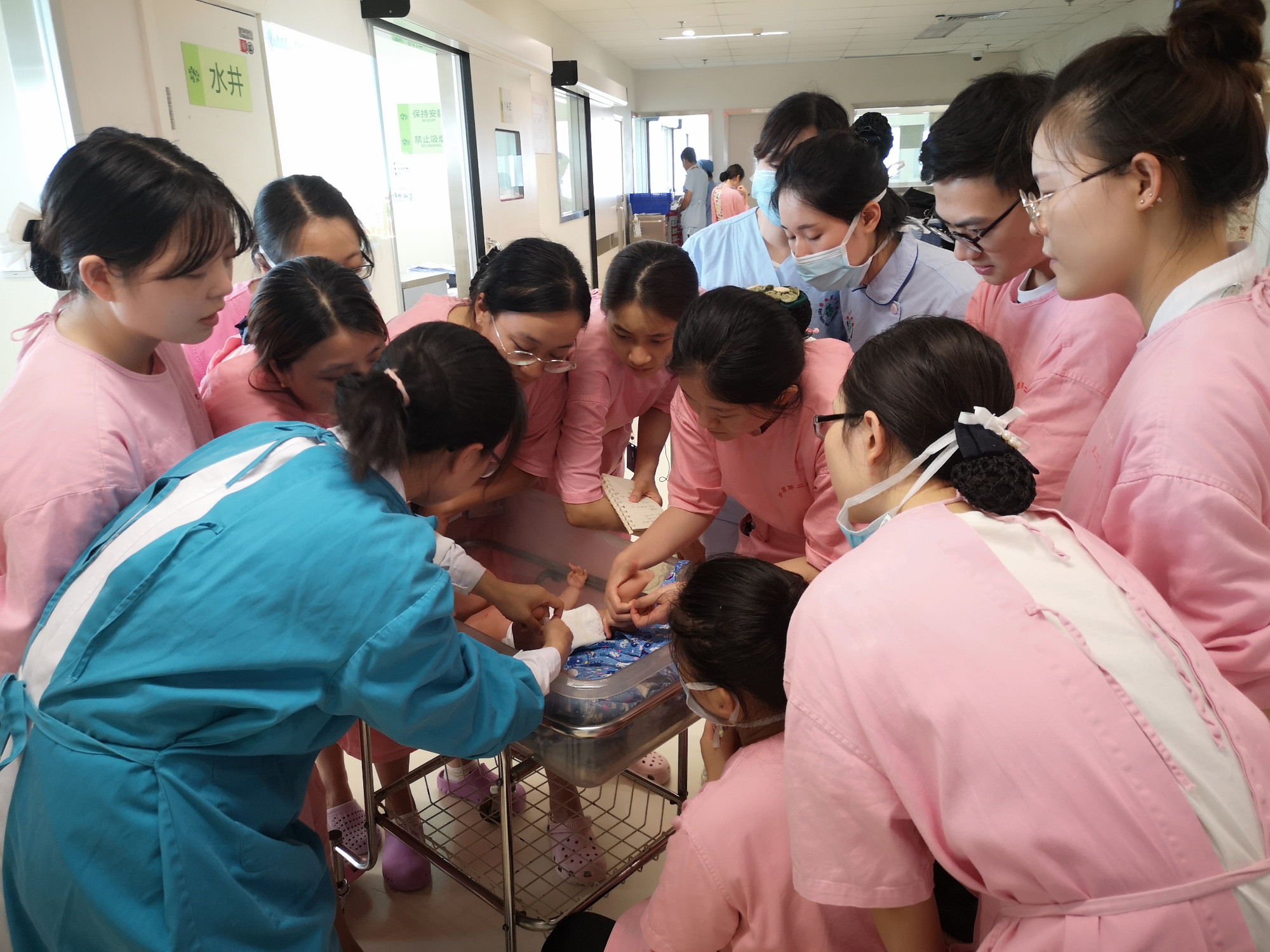 辽宁中医 生血片