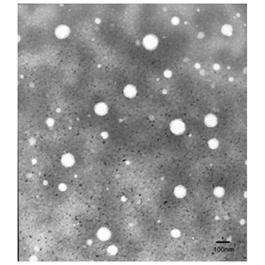 金港 榄香烯口服乳