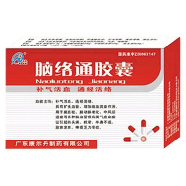 罗定 脑络通胶囊 60粒 广东一力罗定制药有限公司